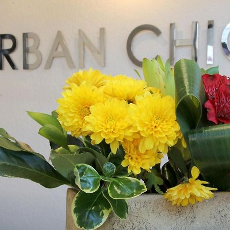 Urban Chic Boutique Hotel & Cafe 케이프타운 외부 사진